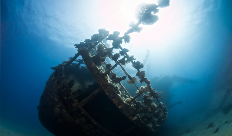 Marsa Alam top shipwrecks, Series 1  Photo
